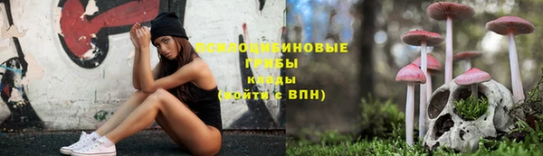 mdpv Горняк